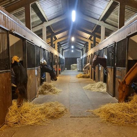 Gite Haras du bois Formerie Extérieur photo