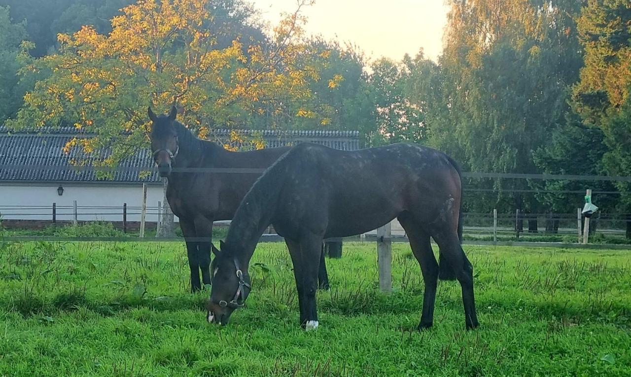 Gite Haras du bois Formerie Extérieur photo